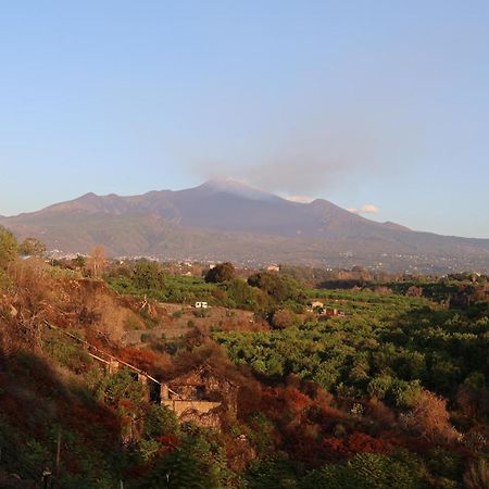 Il Pampaleone Glamping And Resort 阿奇雷亚莱 外观 照片