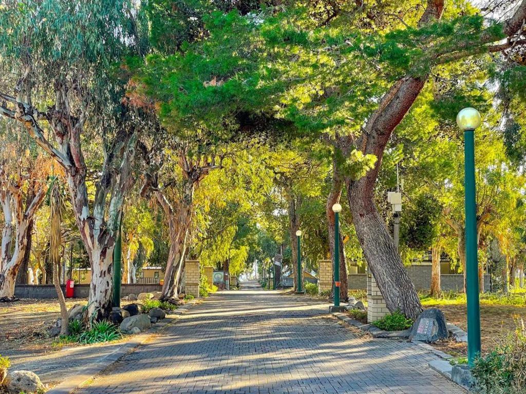 Il Pampaleone Glamping And Resort 阿奇雷亚莱 外观 照片