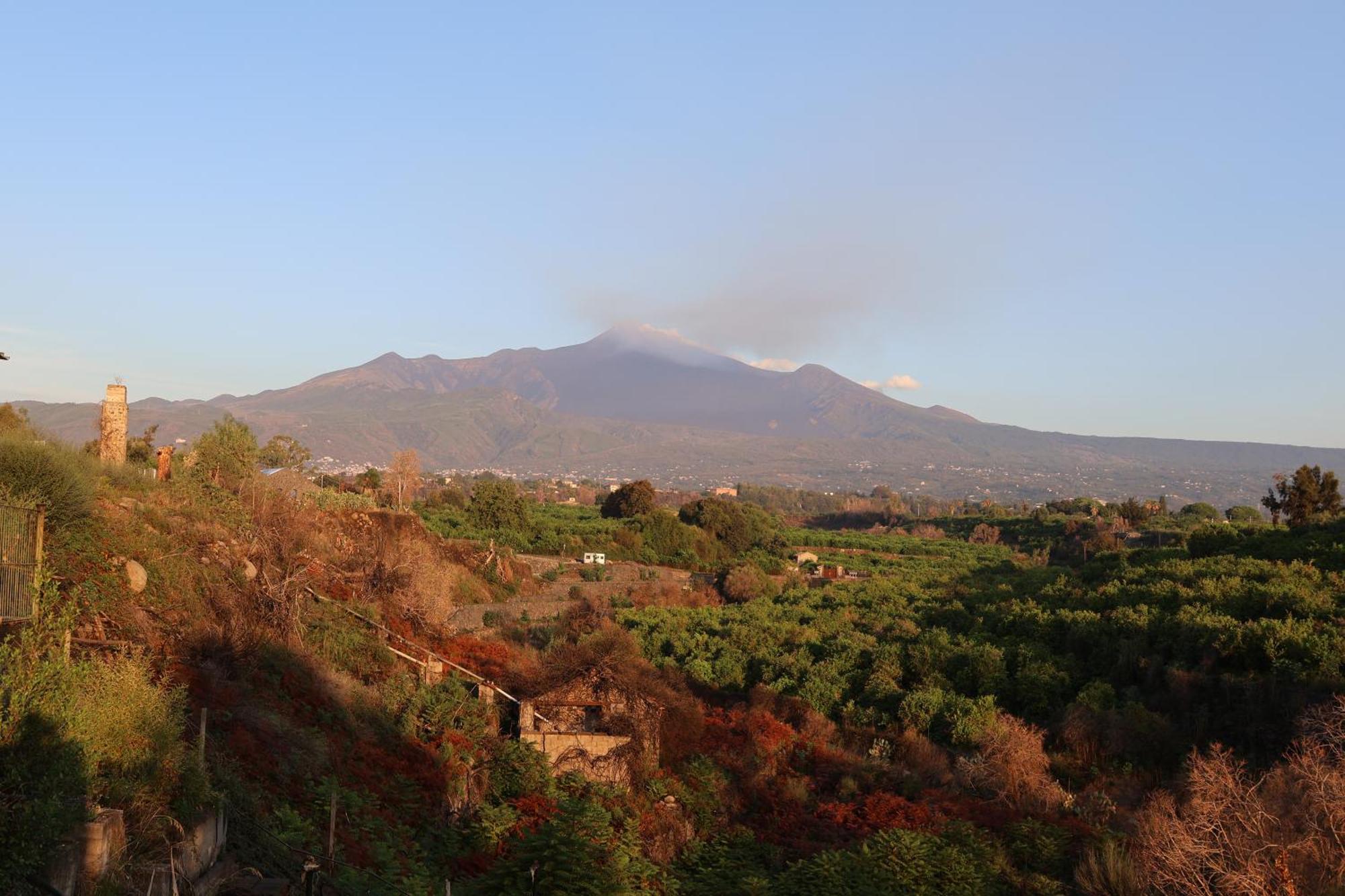 Il Pampaleone Glamping And Resort 阿奇雷亚莱 外观 照片