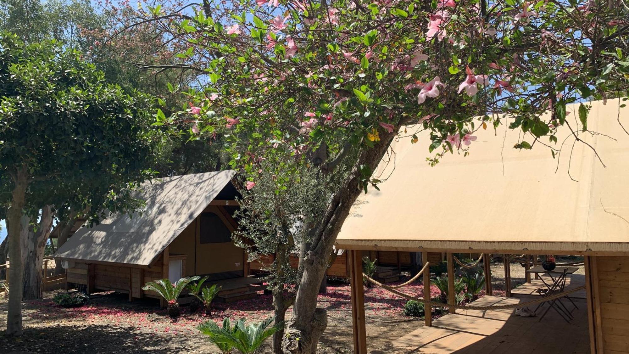 Il Pampaleone Glamping And Resort 阿奇雷亚莱 外观 照片
