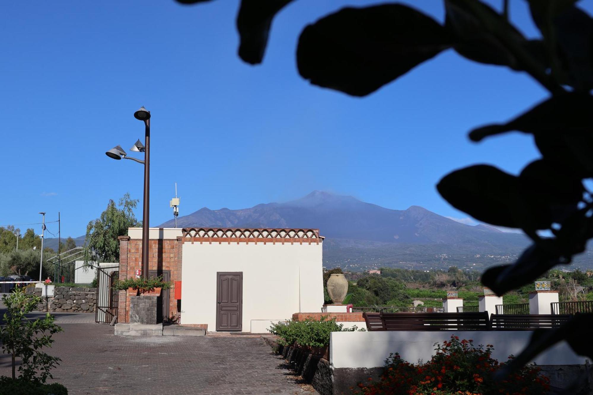 Il Pampaleone Glamping And Resort 阿奇雷亚莱 外观 照片